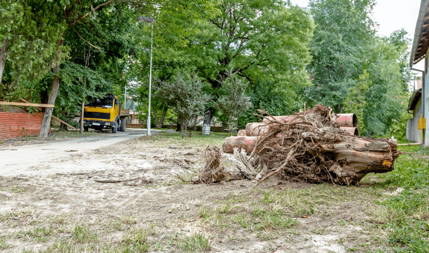 TREE SERVICE